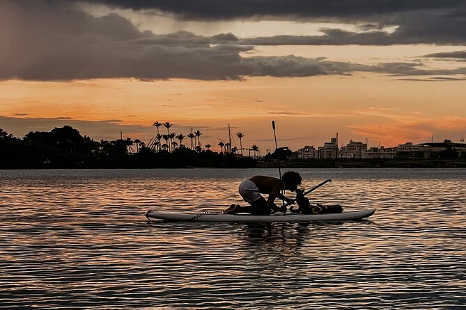 1-Hour Condado Lagoon Paddleboard Rental in San Juan - Is $32 a fair price?