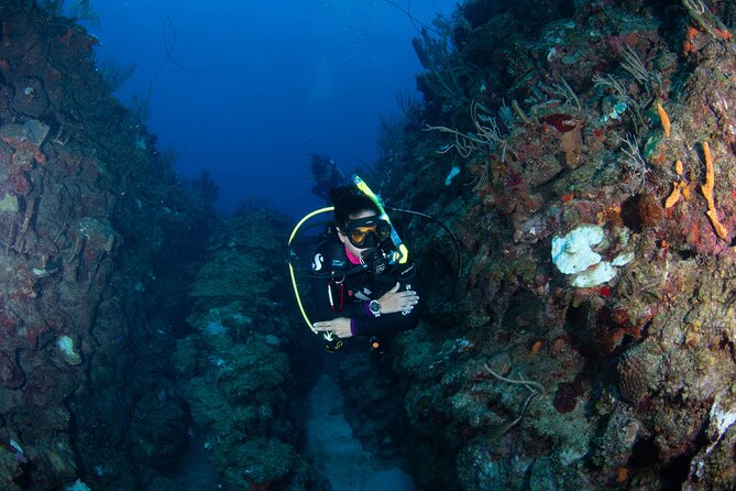 2-Tank Scuba Boat Trip in World-Class Sites @ Copamarina - The Epicenter at 50 to 60 feet