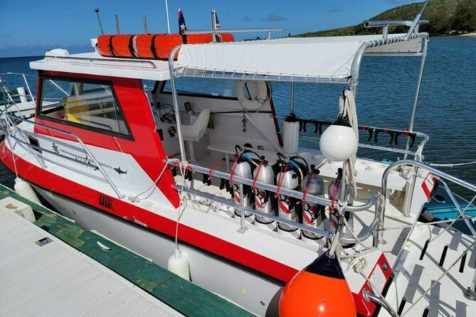 2-Tank Scuba Boat Trip in World-Class Sites @ Copamarina - What the $235 price really buys