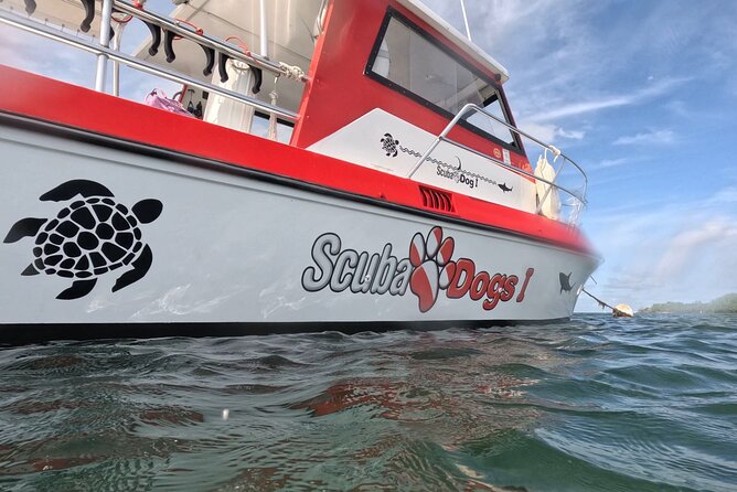 2-Tank Scuba Boat Trip in World-Class Sites @ Copamarina - What the strongest praise tells you