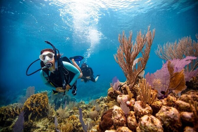 2-Tank Scuba Boat Trip in World-Class Sites @ Copamarina - Who should book this Puerto Rico scuba trip?