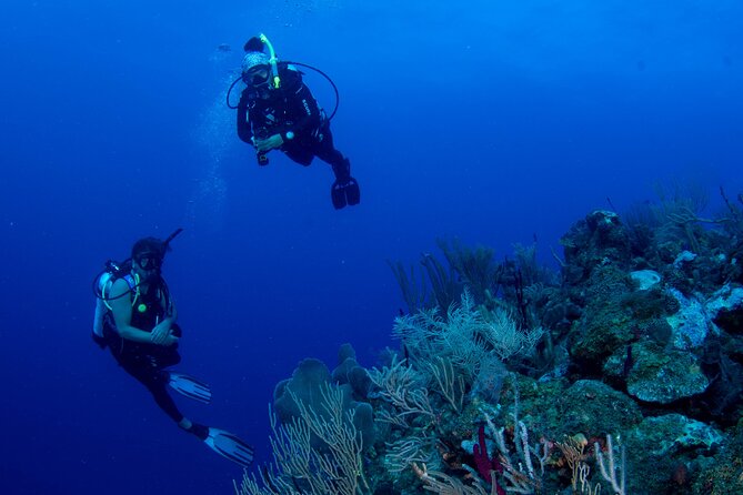 2-Tank Scuba Boat Trip in World-Class Sites @ Copamarina - A small boat with the basics covered