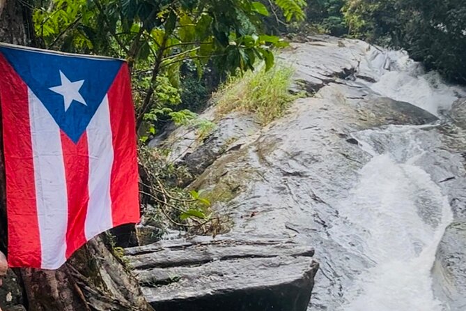 3 Tours in 1 Day: Old San Juan, Rainforest, Beach with Transport - Old San Juan: landmarks and photo stops in about two hours