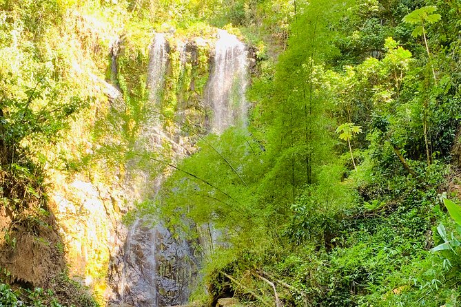 Adventure to a Hidden Waterfall, Private Tour - The natural pools and smaller cascades