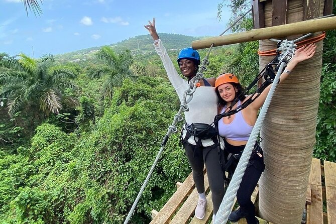 Adventure Trail Tour in the foothills of the National Rainforest - Key Points at a Glance