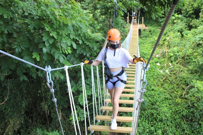 Adventure Trail Tour in the foothills of the National Rainforest - What Happens During the One-Hour Course