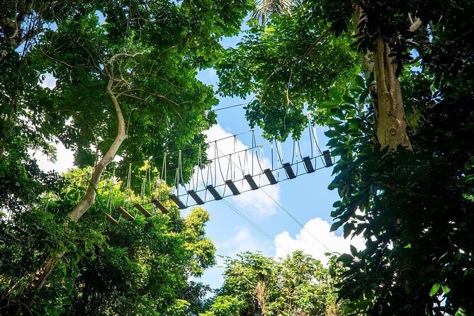 Adventure Trail Tour in the foothills of the National Rainforest - Who Will Enjoy This Most?