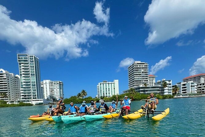 Adventure Water Bike in Condado Lagoon, San Juan - Marine life in a natural reserve