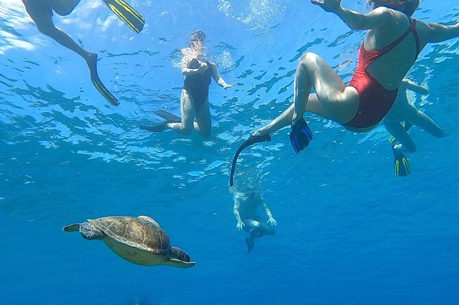 Aguadilla Tropical Snorkeling - Equipment, flotation, and first-time comfort
