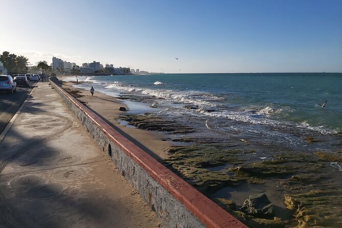 Airport Transfer to Cruise Ships, Hotels, Airbnb in San Juan - The chauffeurs make the difference
