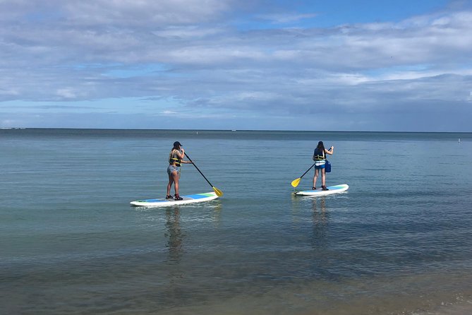 All-Day Paddleboard Rental – Fajardo, Puerto Rico - Key points to know before paddling