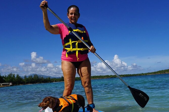 All-Day Paddleboard Rental – Fajardo, Puerto Rico - Wildlife seen from board level