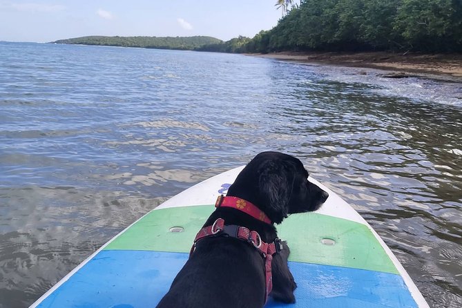 All-Day Paddleboard Rental – Fajardo, Puerto Rico - What the $83 price really gives you