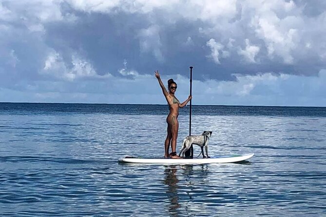 All-Day Paddleboard Rental – Fajardo, Puerto Rico - Planning your time between 8:00 AM and 4:30 PM
