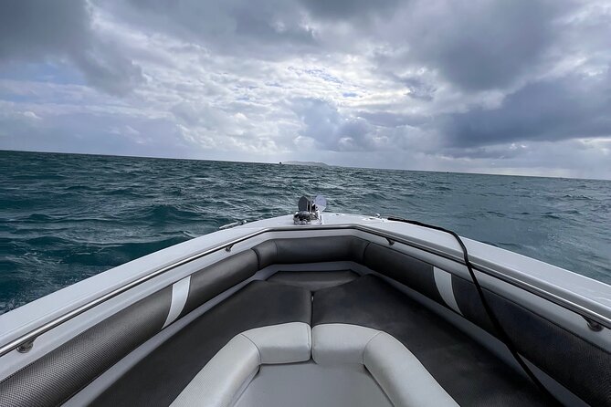 All-Inclusive Full-Day Private Boat Tour with Lunch & Drinks - Bringing a dog or other pet