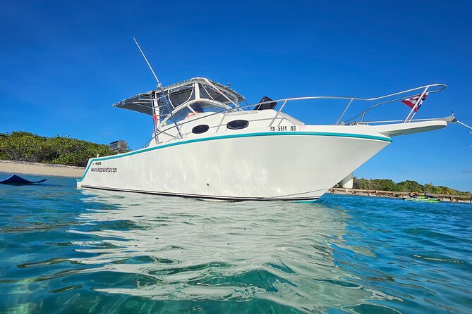 All-Inclusive: Mako 29ft Boat Tour to Icacos Palomino & Palominito - Tortuga Reef and Cayo Icacos: the main water stop