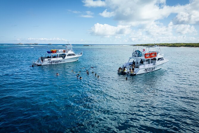 All Inclusive Snorkel and Slide Boat Tour: Icacos or Vieques - Who Will Enjoy This Tour Most?
