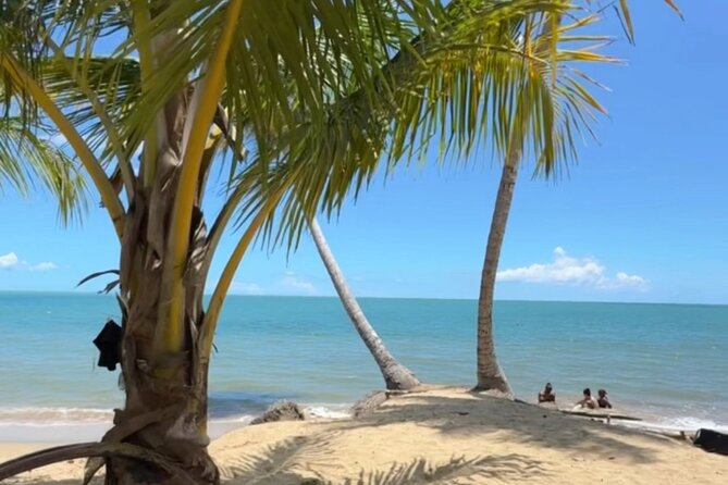 Añasco-Bunny Fever Adventure Experience - Who will enjoy this most