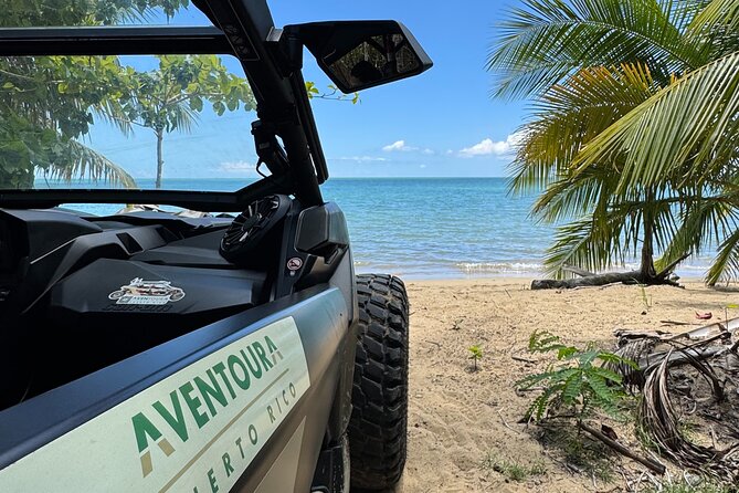 Añasco-Bunny Fever Adventure Experience - Añasco Miradero brings the big views