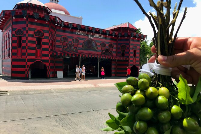 Around the Island Tour From San Juan - Key points to know before booking