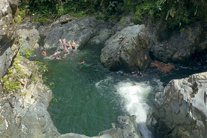 Authentic El Yunque Rainforest Adventure — Waterfalls & Slides - Cliff jumps and the rope swing are optional