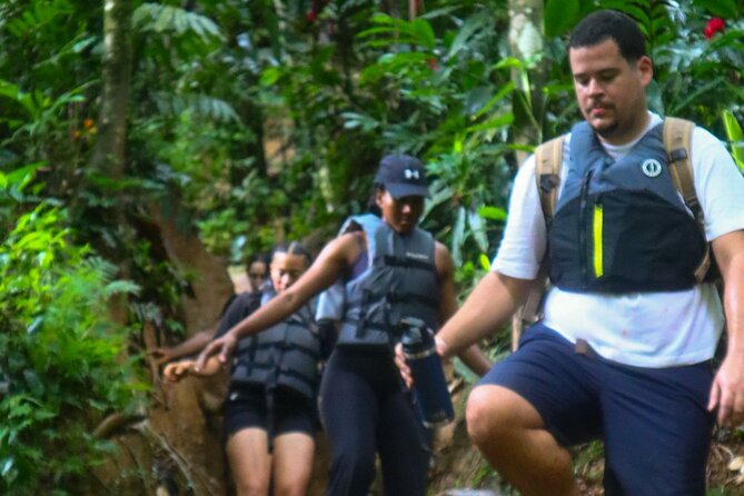 Authentic El Yunque Rainforest Adventure — Waterfalls & Slides - Is $35.99 a good value?