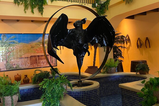 Bacardi Rum Distillery and Old San Juan Tour - Who will enjoy this four-hour outing?