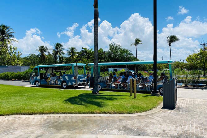 Bacardi Rum Distillery and Old San Juan Tour - Practical advice for a smoother afternoon