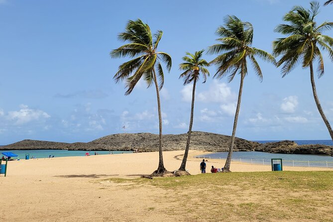 Beach and Ojo de Agua Experience! - Key points to know before booking