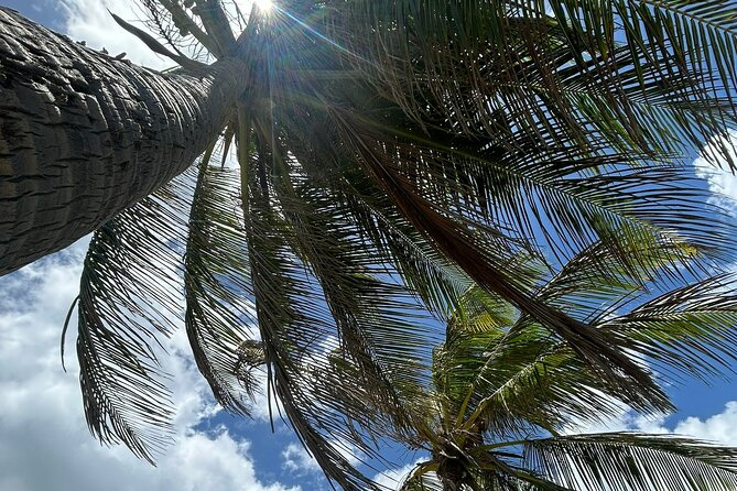 Beach Bliss Yoga in San Juan - The Ocean View Sets the Tone