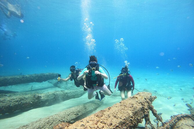 Beginner Scuba Diving Guided Tour - No Experience Required - Key points to know before booking