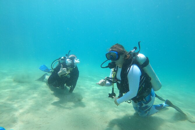 Beginner Scuba Diving Guided Tour - No Experience Required - A gentle first step into scuba