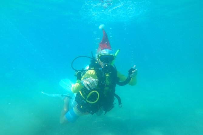 Beginner Scuba Diving Guided Tour - No Experience Required - What the underwater portion is like