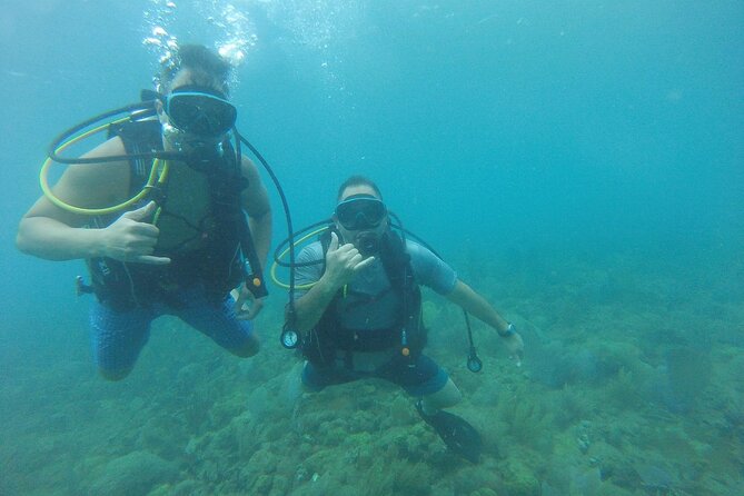 Beginner Scuba Diving Guided Tour - No Experience Required - Weather is the main uncertainty