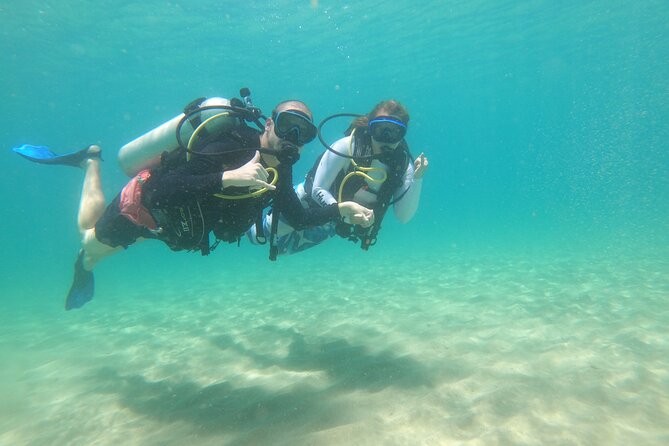 Beginner Scuba Diving Guided Tour - No Experience Required - Is $99 a fair price?