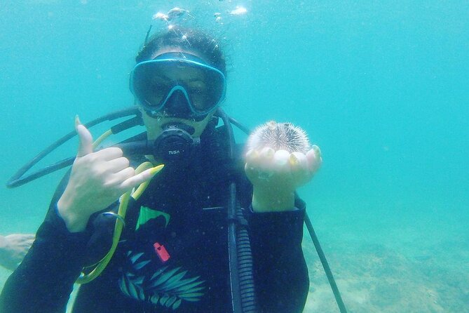 Beginner Scuba Diving Guided Tour - No Experience Required - Who should book this Rincón lesson?