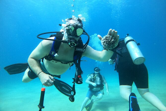 Beginner Scuba Diving Guided Tour - No Experience Required - Learning the equipment before entering the water