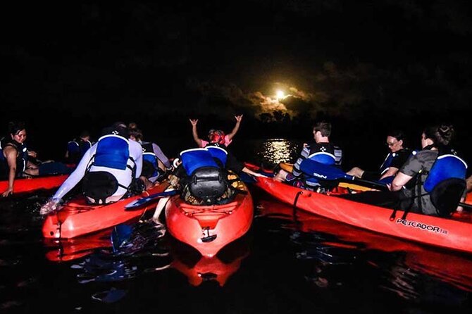 Bio Bay Kayak Tour in Fajardo - Key points before you book