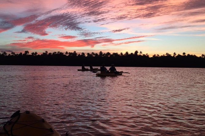 Bio Bay Kayak Tour in Fajardo - What the mangrove passage feels like at night