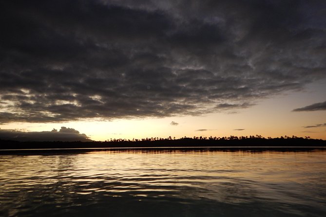 Bio Bay Kayak Tour in Fajardo - What the guides add to the night