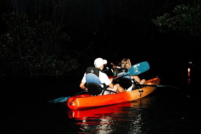 Bio Bay Kayak Tour in Fajardo - Price, timing, and what the $89 covers