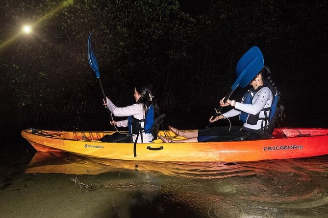 Bio Bay Kayak Tour in Fajardo - Who should book, and who should skip it
