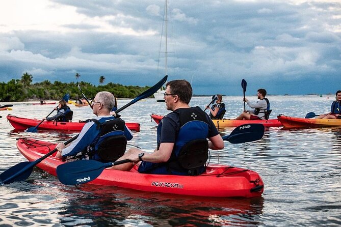 Bio Bay Kayak Tour in Fajardo - Weather, cancellations, and practical planning