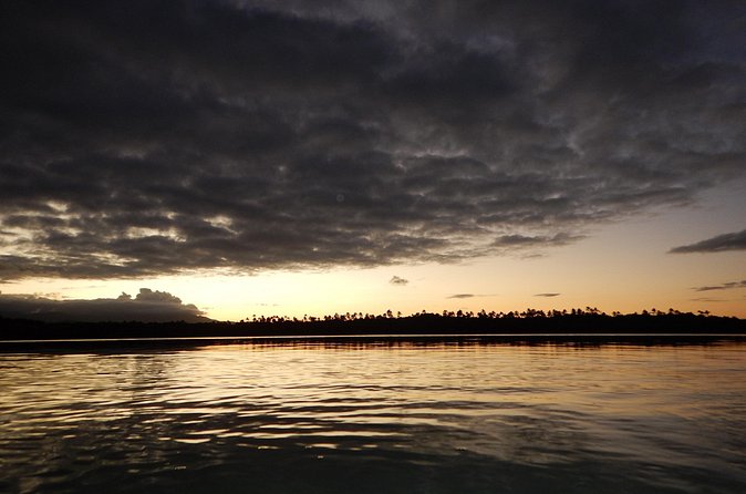 Bio Bay Kayak Tour in Fajardo - Is this Fajardo bio bay tour worth booking?