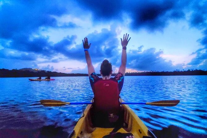 Bio Bay Night Kayak Tour in Fajardo - Key points to know before you book