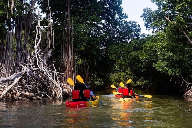 Bio Bay Night Kayak Tour in Fajardo - What the bioluminescent water may look like