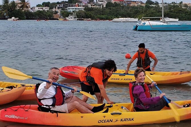 Bio Bay Night Kayak Tour in Fajardo - The physical side of the trip