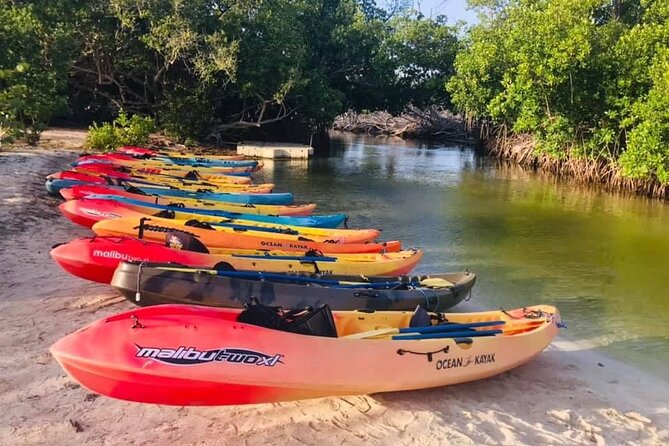 Bio Bay Night Kayak Tour in Fajardo - Through the mangroves to Laguna Grande
