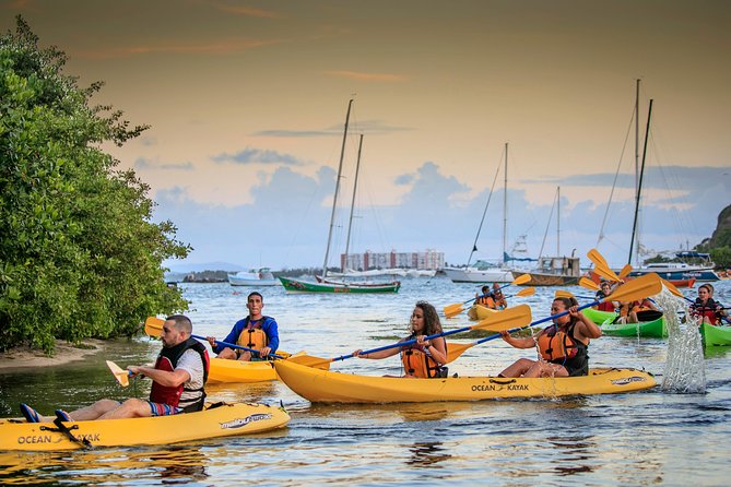 Bio Bay Night Kayak Tour with Transport from San Juan - Laguna Grande and the Las Cabezas Mangrove Reserve