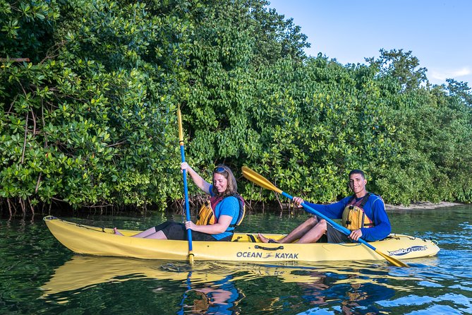 Bio Bay Night Kayak Tour with Transport from San Juan - The Two-Hour Paddle: Outbound Calm, Return Challenge